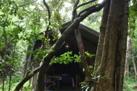 Explorer by Eco Team - Wasgamuwa National Park Hotels near Malgammana Sri Naga Raja Maha Viharaya