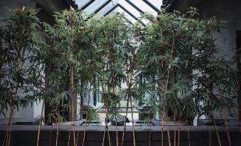 Qingcheng Study Eco Resort Hotel