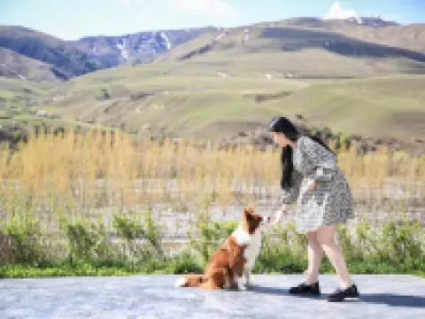 那拉提後山樸舍 那拉提旅遊風景區附近的飯店