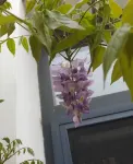 Floral Hotel·Jingshui Shanju hotel (Yesanpo Bailixia Scenic Area) - Villas