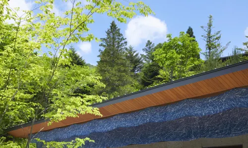 Hoshino Resorts KAI Kinugawa