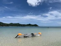 Havana Beach Resort Phangan - de playa