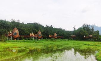 Jingdezhen Yuli Scenic Area Countryside Ant Homestay