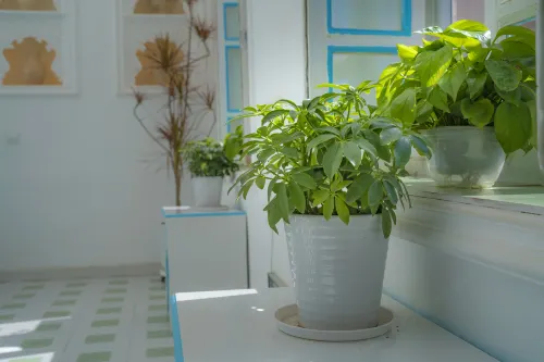 Half Day B&B (Kashgar Ancient City Scenic Area Branch) Photos