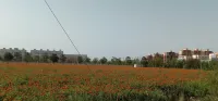 Longrui Hotel