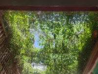 Kuqa Xiyu Homestay