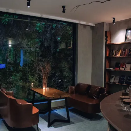 Mojian Wild Luxury Hot Spring Villa