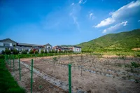 Wutai Mountain Quadrangle Inn Hotel - Gym