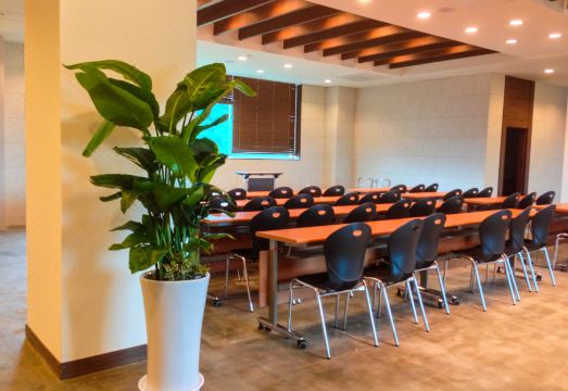 호텔 테라마르의 깨끗한 객실과 바다 전망