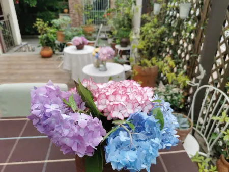 Fairy Mountain Party Club Villa Отели рядом с достопримечательностью «Three Natural Bridges»