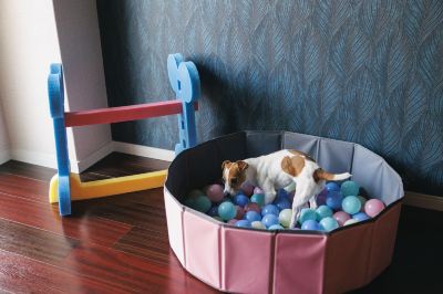 その他 ホテルジャパネスク福岡の写真