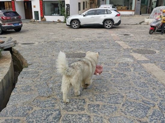 香格里拉君蘭穆野輕奢民宿優惠