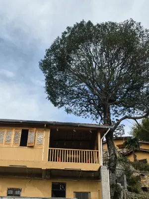 Yunyi Boutique Hotel (Chenjiapu Store) in Songyang County