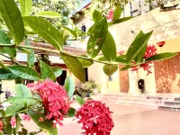 Lee Homestay Hotellit kohteessa Đông Anh