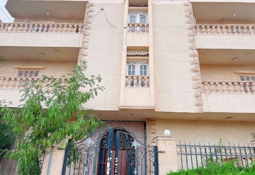 뉴 카이로 숙소 주변