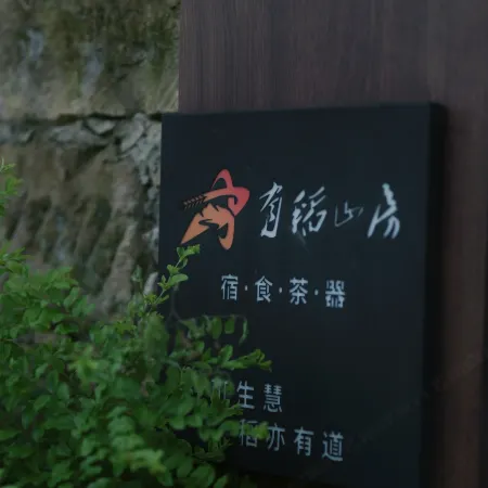 Youdao Mountain House Countryside Scenic Homestay