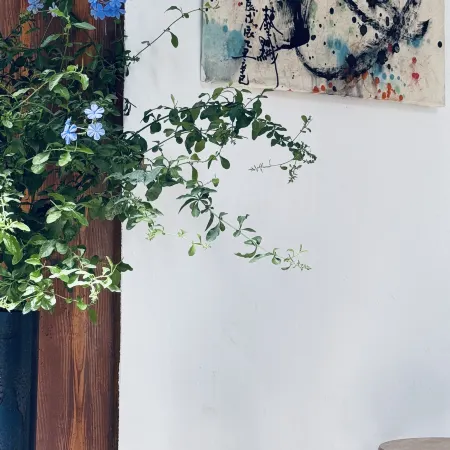 Dongzhai Caomu Dye Homestay