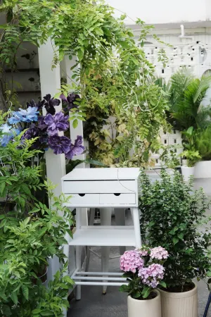 stream Отели рядом с достопримечательностью «One Country Two Systems Beach»