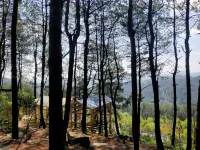 Natural Oxygen Bar Home