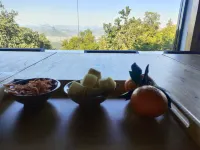 Shanglin Lancuiyuan Homestay - Mountain view