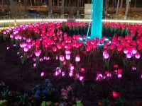 Junnyi Chain Hotel (Rongsheng Shopping Plaza Huanghe Road Primary School ) Hotels in Cangzhou