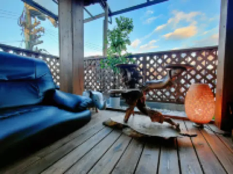 Miyu・Tsuruhashi Japanese-style  house  Up to 6 people Hotel di 