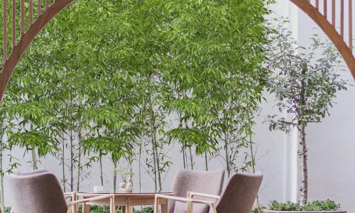 ChunQiu Oxygen-Rich Hotel