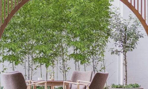 춘추 산소 풍부 호텔