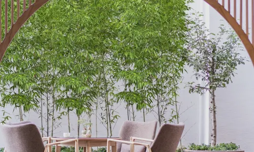 ChunQiu Oxygen-Rich Hotel