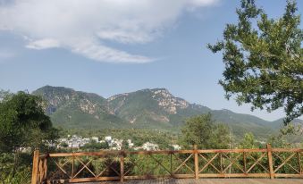 Lushan Yishan Juzhu B&B (Shaolin Scenic Area Branch)