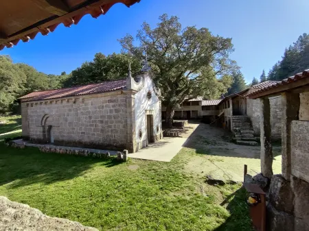 Donna Nega Alojamento Local Отели в г. Ден