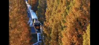 Xiangyun Train Homestay