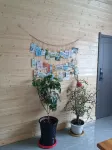 漠河北之北驛站 - 旅館