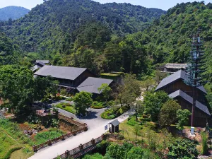 GuangYueShang Collection Panlong Valley