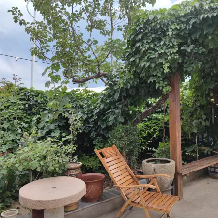 Yichuan Huangpu B&B Отели в г. Ичуань