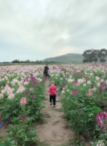 Bashang Grassland Guilin Farmhouse