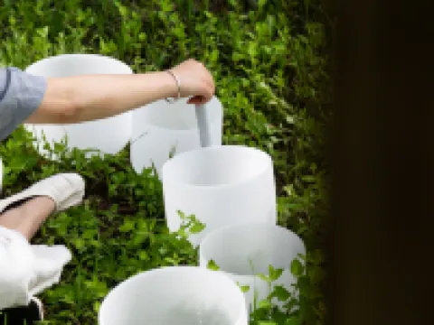 Blossom Hill Huanghai Forest Jing Lin Hotels in Dongtai