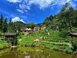 Jiamu Shanyu Zen Healing Homestay (Jigong Mountain Scenic Area)