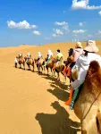 Stroll Under the Stars Desert Stargazing Camping Base - Wi-Fi