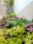 Mount Wutai Cloud Boutique B&B