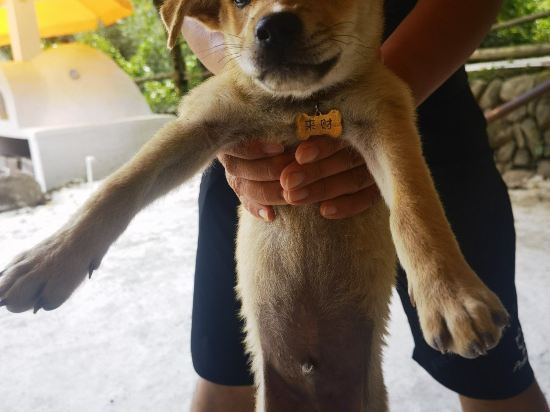 嵊州祥瑞·溪隱民宿優惠