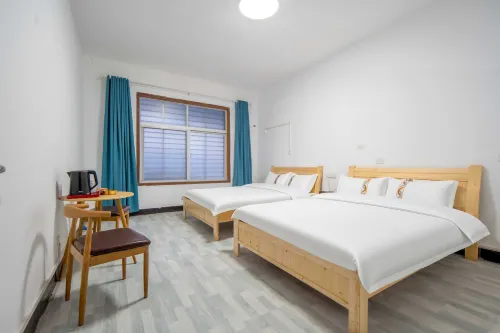 Backpacker E sports Youth Hostel