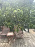 Shiguang Caizhu Homestay