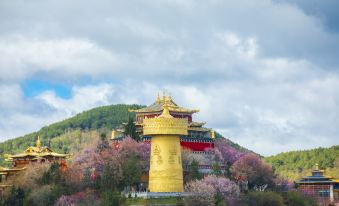 Floral Hotel· blue sky Meijing Hotel (Dukezong Ancient City)