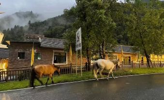 Yangrong Hade Boutique Hostel