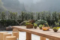 Hangzhou Lin'an Moye Homestay (Daming Mountain Wind Valley) Hotels near Dongta Tower
