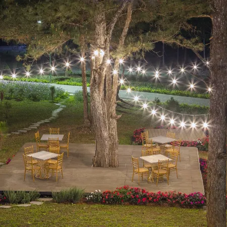 Rừng Lá Kim Resort