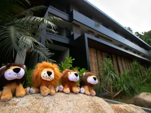The Funny Lion - El Nido
