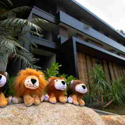 The Funny Lion - El Nido Hotel Exterior