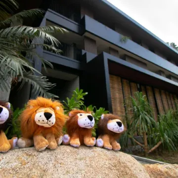The Funny Lion - El Nido
